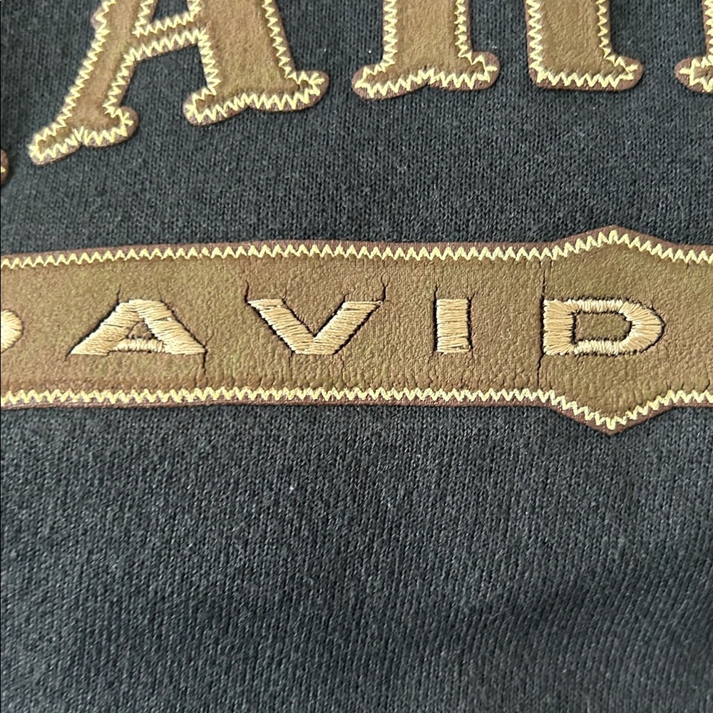 Men’s Harley Davidson sweatshirt size large good condition 
Honesdale,PA - Picture 9 of 11